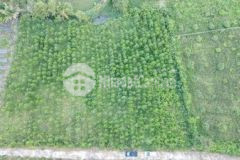 Bán đất suối tiên diên khánh đất vườn chỉ 1 8trm2