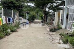 Hòa lợi bà cô cần bán đất trả tiền ngân hàng