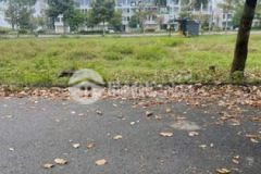 Bán đất đs 10 kđt đại dương đâu lưng hùng vuong