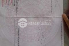 Đất giá đáy shr 5x25125m2 long an 780triệu