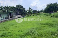 Đất thành phố chỉ 8tr1m2 1112 shr full thổ