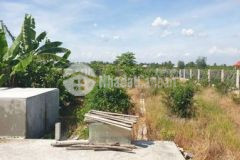 Bán lô vườn tặng căn nhà cấp 4 bình đức