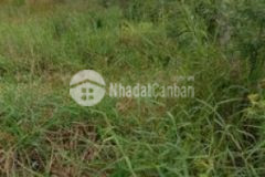 Bán lô thổ ấp 3 mỹ thạnh thủ thừa