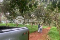 Cần bán sỹ 5 lô cho đầu tư