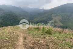 Bán gấp mảnh đất tại mộc châu đốn song cao tốc