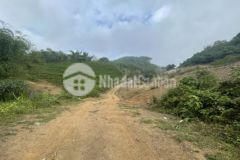 2 6ha rsx dt thực4ha giá 1 x đường 5m cáchhn 38km