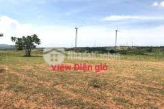 Đất gần đường qh liên huyện chưa đến 100 ngànm2