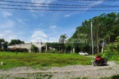 Lô góc 2 mặt tiền thổ cư 100 giá rẽ nhất khu vực