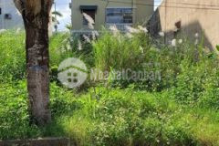 Bán đất mt đường lý tử tấn gần biển sơn trà 100m2