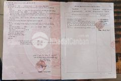 Bán đất mặt tiền chợ phú cường ttn8