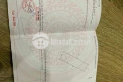 Đất cồn chim thổ 100