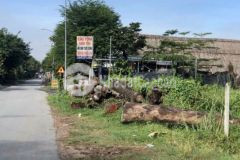 Đất mặt tiền bình nhâm 19 thuận an bình dương