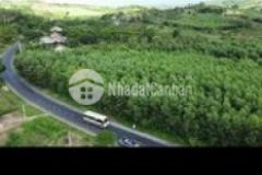 Bán đất thổ mt q lộ 29 696m2 giá 780tr sông hinh