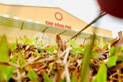 2 lô ngoại giao kpc đông phú mặt tiền chợ