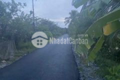 Giảm giá đất mt lộ nhựa an thạnh ấp 1 hoà phú