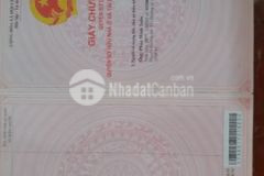 Cần bán nhanh lô 5x26 trong kdc tân đô giá 1 7 tỷ