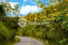 Mặt tiền đường dt725 ngay khu checking hoa dã quỳ