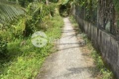 Đất thổ nguyễn văn cương p tân khánh dt 1350m