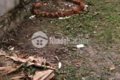 Cần bán gấp một căn nhà hẻm trần quý cáp giá ổn định nhất thị trường