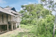 Bán gấp 1446m tại xã bình hẻm, huyện lạc sơn