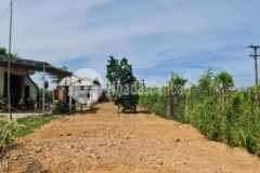 Gấp bán lô đất mặt tiền đường chính đội 7, thôn long mỹ, bình long, bình sơn, quảng ngãi