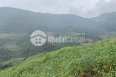 Siêu phẩm có 102 làm nông nghiệp đa dụng mộc châu