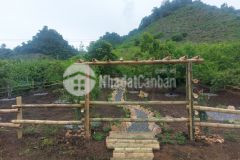 Đất nền mộc châu,giá rẻ,có sẵn cảnh quan view hồ giá mềm như bún