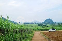 Rẻ quá bán đất tây phong, cao phong, hòa bình 2.336m, chỉ nhỉnh 2 tỷ.