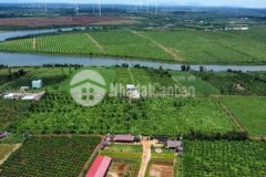 Đất nền view hồ hoàng ân