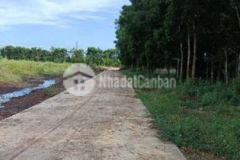 4sào8 bảo quang long khánh