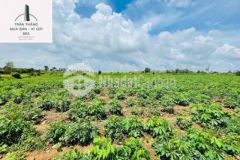 Đất gần hồ suối rao đường sắp lên nhựa gần kdc