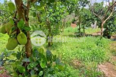 Hàng ngộp cuối năm dành cho nhà đầu tư mua đợi giá