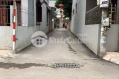 Chính chủ bán đất ô tô vào nhà ngõ thống nhất