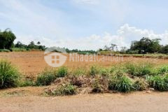 Chủ cần bán đất sào giá rẻ khu dân cư xã bàu cạn