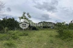 Bán 1000m2 đất thị trấn lương sơn giá 1 8tỷ