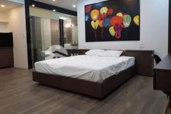 Biệt thự xuân la dt lớn mt rộng gara 2 ô tô