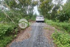 View sông vàm cỏ 1500m² lúa 300m² thổ đường 6m