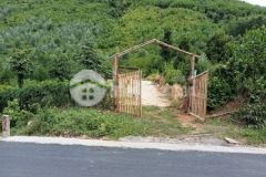 Lô đất 4 héc ta khu hoà bắc trường định