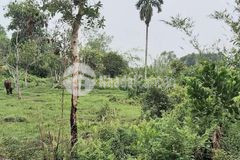 Dt 1002m đường nhựa 10m tl7 củ chi