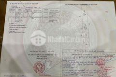 Nhà 20x100m mặt đuờng 786