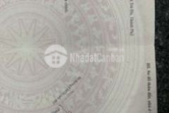 Nhà bên hông bệnh viện nhi gia lai mt đặng văn ngữ