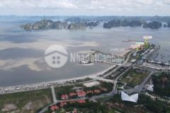 Cần bán 3 căn biệt thự khu nam cảng tuần châu