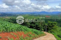 Bán đất thị trấn nam ban, lâm hà, sổ riêng, giá rẻ