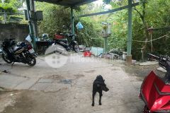 Đất có diện tích lớn mặt tiền đường h90, mỹ phong, mỹ tho, tg