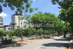 Bán nhà kim ngưu, phân lô, 2 ô tô, thoáng trước sau, nhỉnh 8 tỷ