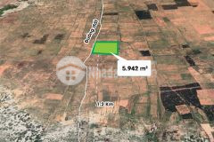 Chính chủ cần bán 6 sào đất cách ql 1km, oto vào tận nơi 0901439689