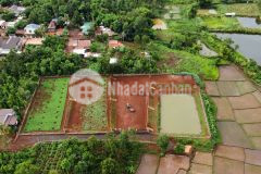 Bán 5300m2 đất view ao ruộng, huyện cưkuin. 7tỷ. lh0775763333, 0812477888