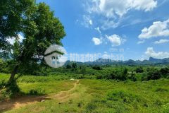 Chủ cần tiền gửi bán gấp siêu phẩm nghỉ dưỡng có diện tích 4373,6m2 trong đó có 980m2 thổ cư còn lại