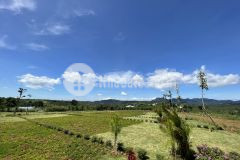 Đất bảo lộc, chỉ từ 699trnền, full thổ cư, hỗ trợ vận hành chia sẻ doanh thu