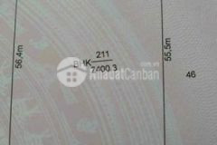 43x55m 2400 đất vườn ấp 1 bình đức bến lức